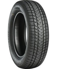 Pneu GRIPMAX SUREGRIP eWINTER XL 205/55/17 95 V 3PMSF