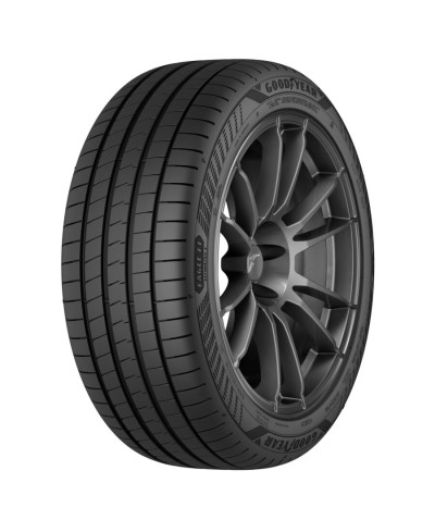 Pneu GOODYEAR F1 ASYMMETRIC 6 225/40/19 93 Y XL