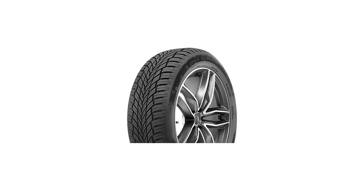 Pneu Radar Dimax All Season 225/55 R17 101W XL, RP, EVC, 3PMSF
