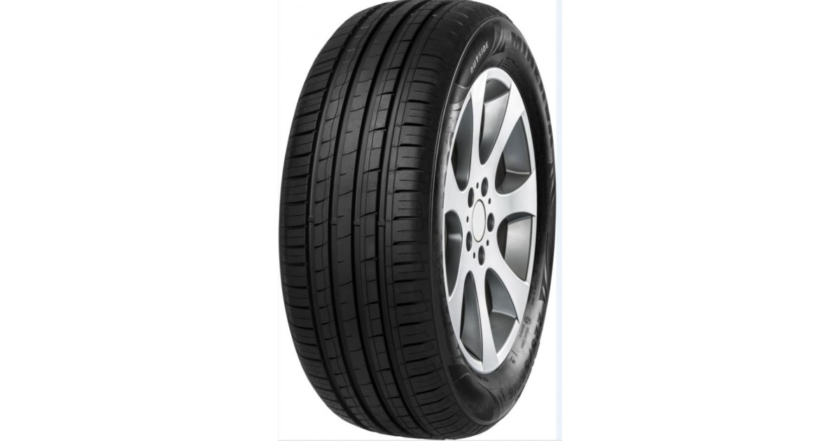 MINERVA F209 , 195/ 55 R15 85V