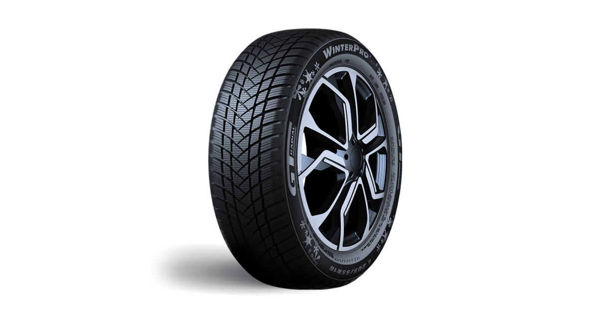 Pneu GT-Radial WinterPro2 XL 205 /55 R17 95H , 3PMSF