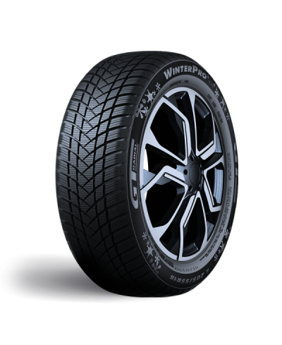Pneu GT-Radial WinterPro2,  205 /55 R16 91T , 3PMSF