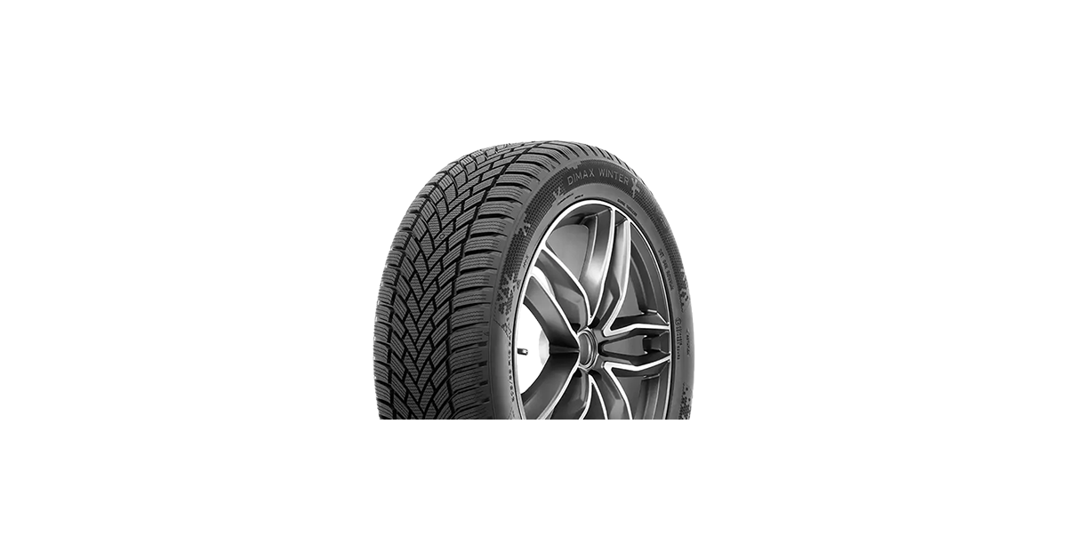 Pneu Radar Dimax Winter 195/ 65 R15 91T , 3PMSF